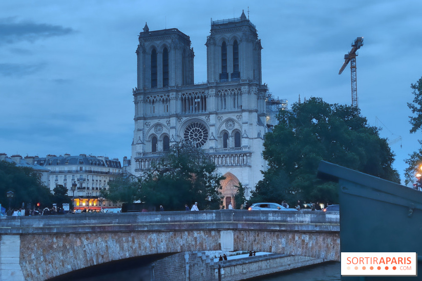 Notre-Dame de Paris - visuels - nuit