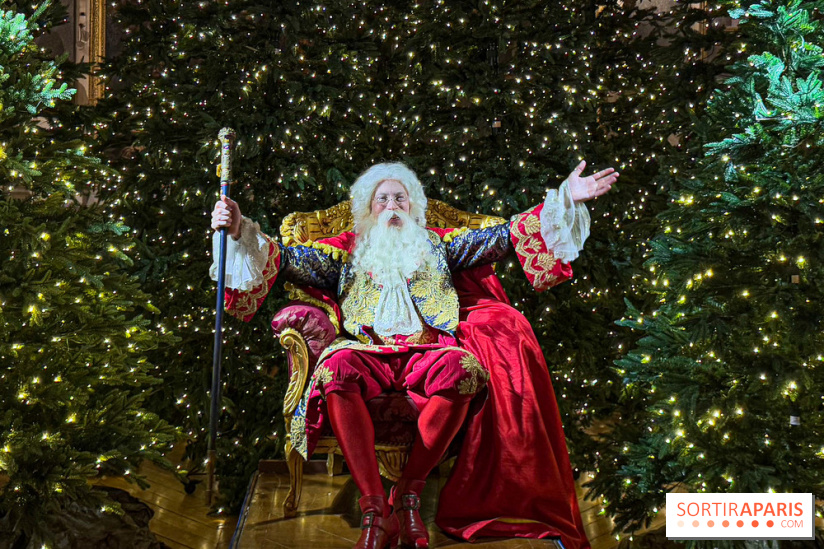 Le Parcours du Roi, la visite-spectacle de Noël 2024 du Château de Versailles - FullSizeRender 29