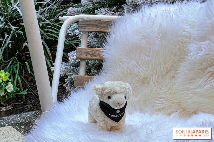 La terrasse d'hiver 2024 de l'hôtel 5* Maison Albar - Le Vendôme : un Tea Time à prix tout doux ! - IMG 5616 jpg