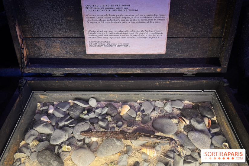 Cité Immersive Viking  - IMG 5251