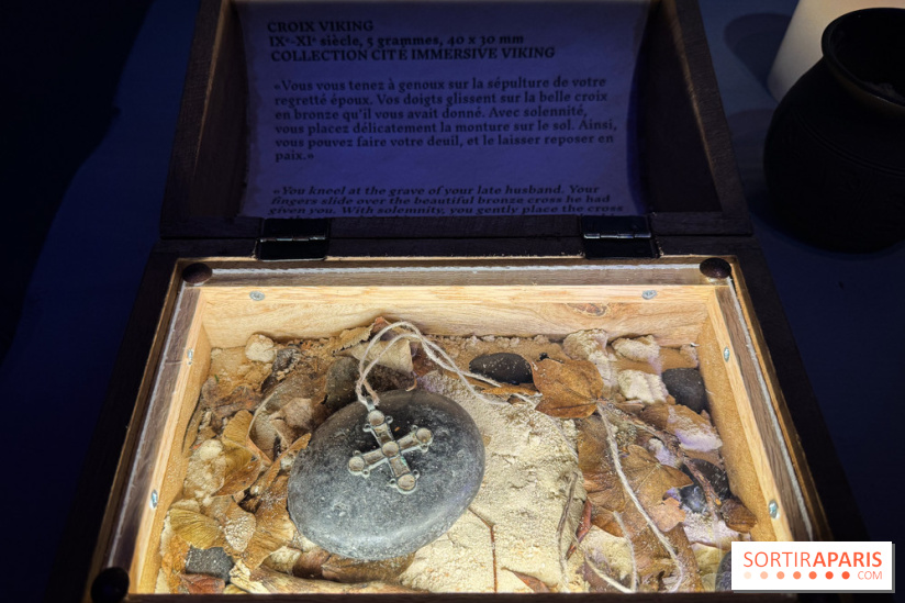 Cité Immersive Viking  - IMG 5267