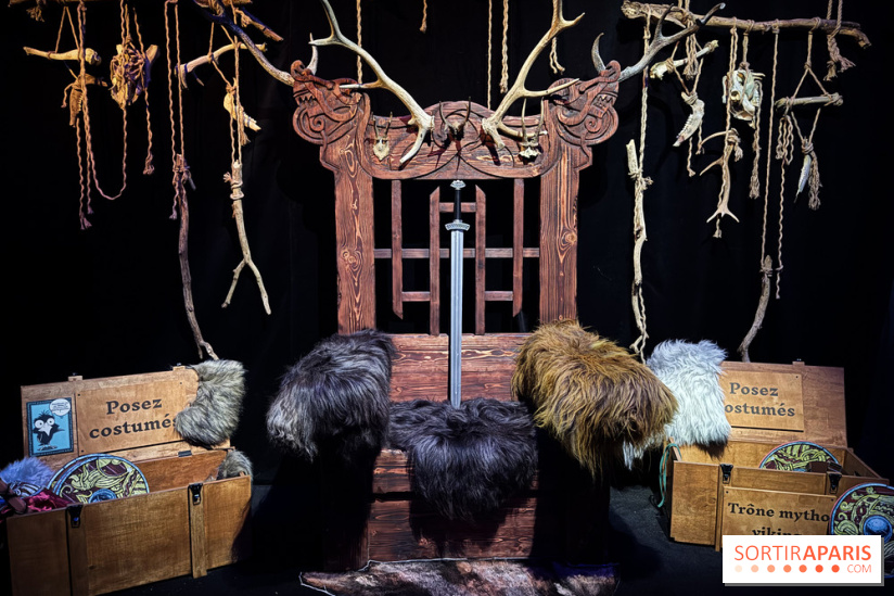 Cité Immersive Viking  - IMG 5287