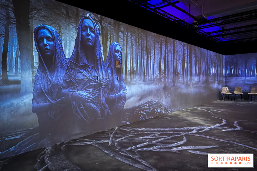 Cité Immersive Viking  - IMG 5319