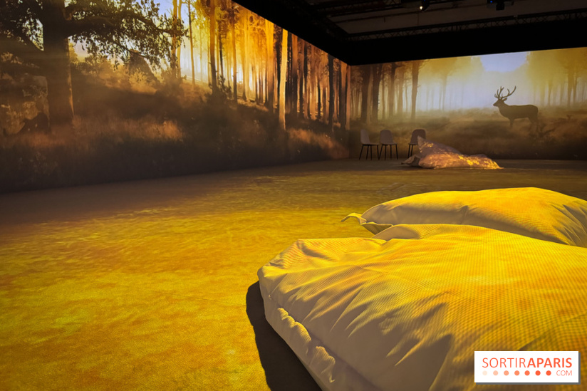 Cité Immersive Viking  - IMG 5335