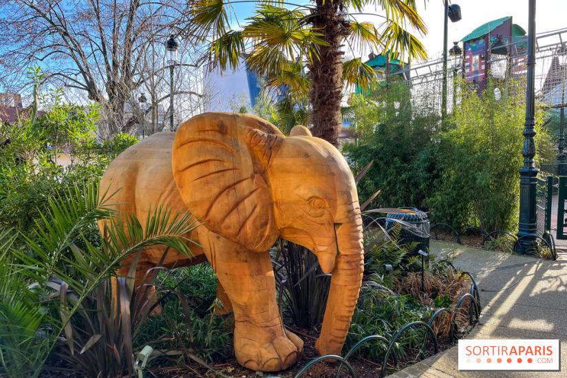 Square de la Jungle - nos photos