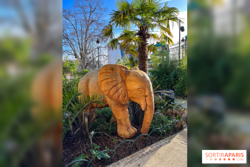 Square de la Jungle - nos photos