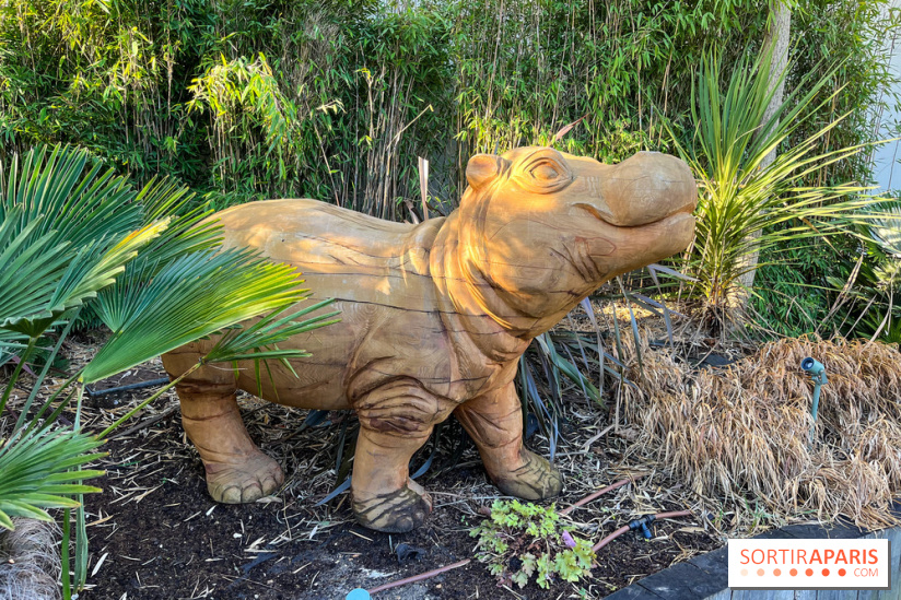 Square de la Jungle - nos photos - image00010