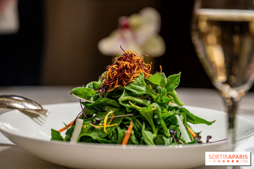 Le Shang Palace par le chef Tony Xu au Shangri-La Paris -  A7C7665