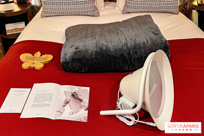 Les Lumières, l'hôtel 5* près du Château de Versailles  - image00067