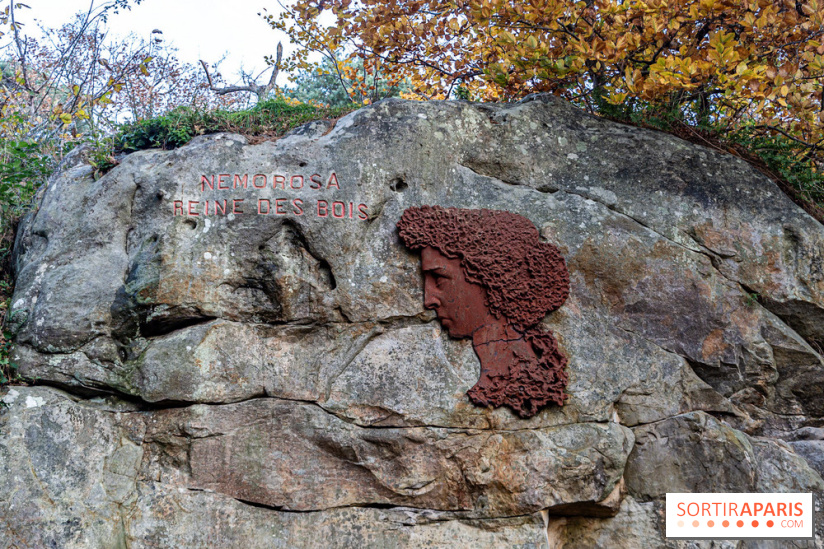Randonnée à Fontainebleau : le sentier sur les pas de Denecourt jusqu’à la Tour Denecourt -  A7C7555