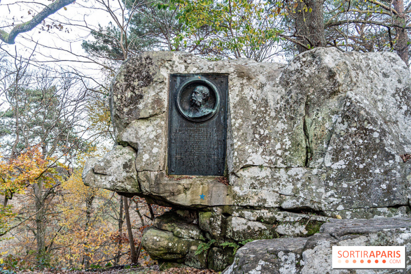 Randonnée à Fontainebleau : le sentier sur les pas de Denecourt jusqu’à la Tour Denecourt -  A7C7558