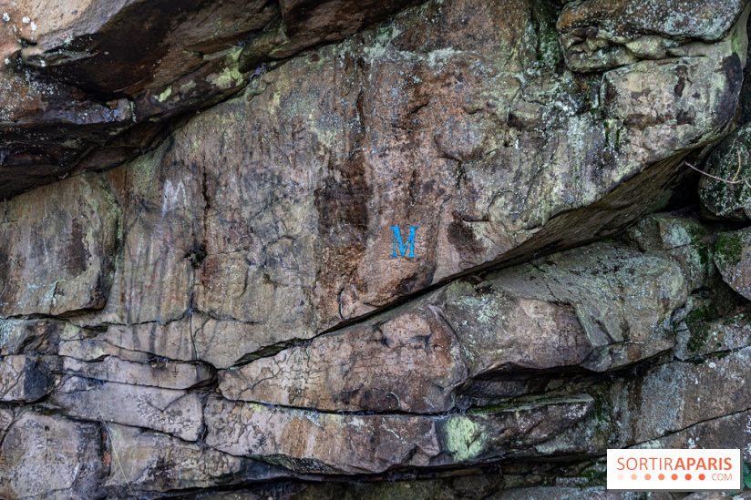 Randonnée à Fontainebleau : le sentier sur les pas de Denecourt jusqu’à la Tour Denecourt -  A7C7559