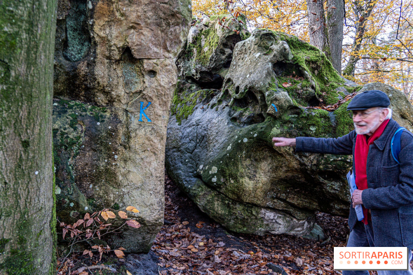 Randonnée à Fontainebleau : le sentier sur les pas de Denecourt jusqu’à la Tour Denecourt -  A7C7560