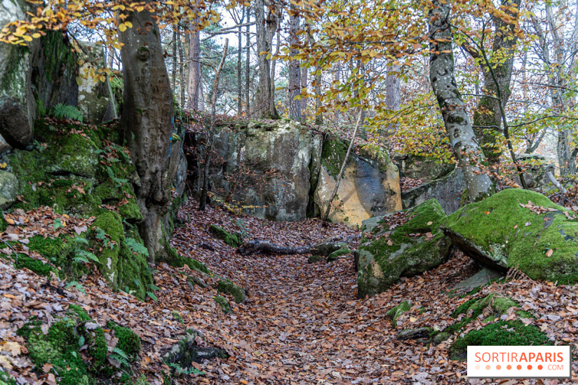 Randonnée à Fontainebleau : le sentier sur les pas de Denecourt jusqu’à la Tour Denecourt