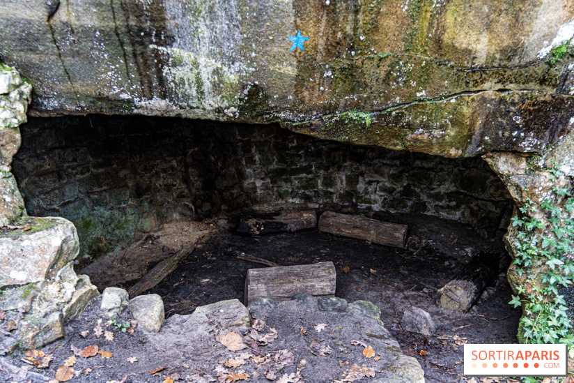 Randonnée à Fontainebleau : le sentier sur les pas de Denecourt jusqu’à la Tour Denecourt -  A7C7567