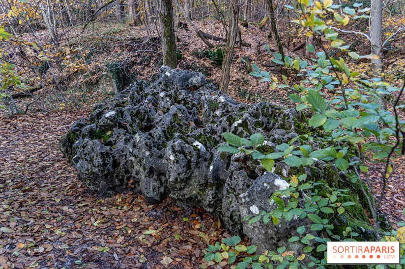 Randonnée à Fontainebleau : le sentier sur les pas de Denecourt jusqu’à la Tour Denecourt -  A7C7571