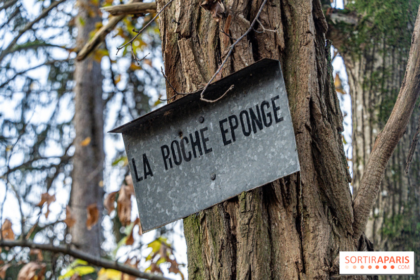 Randonnée à Fontainebleau : le sentier sur les pas de Denecourt jusqu’à la Tour Denecourt -  A7C7572