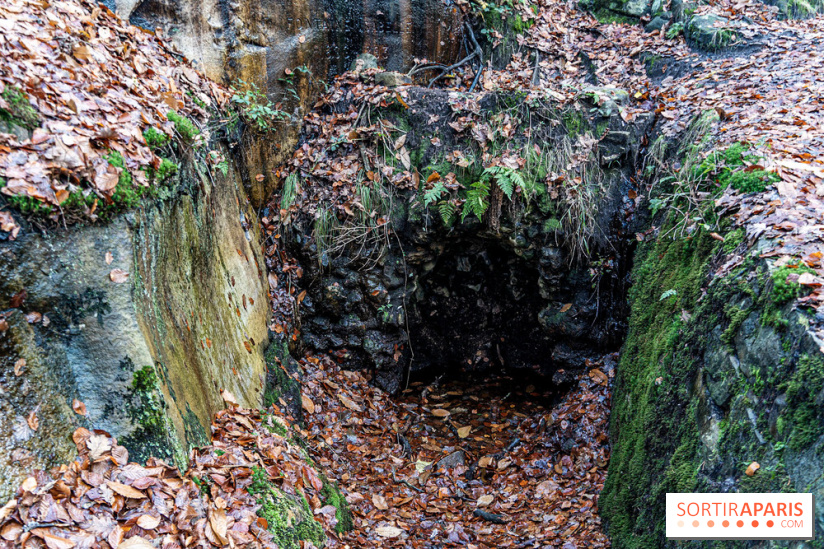 Randonnée à Fontainebleau : le sentier sur les pas de Denecourt jusqu’à la Tour Denecourt -  A7C7577