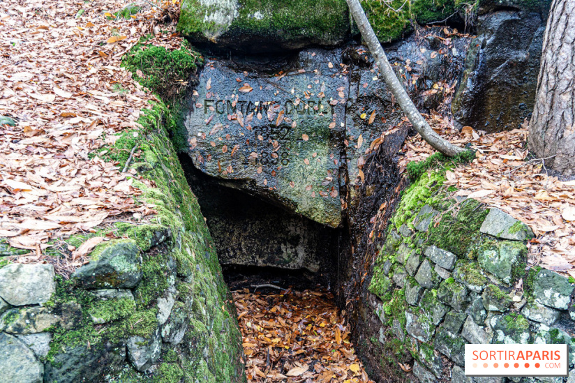 Randonnée à Fontainebleau : le sentier sur les pas de Denecourt jusqu’à la Tour Denecourt -  A7C7580