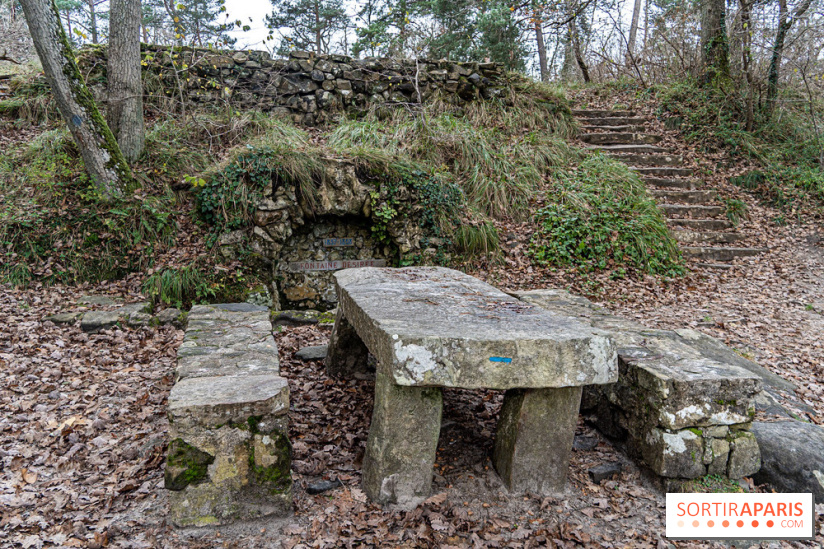 Randonnée à Fontainebleau : le sentier sur les pas de Denecourt jusqu’à la Tour Denecourt -  A7C7583