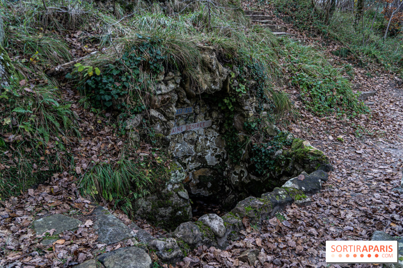 Randonnée à Fontainebleau : le sentier sur les pas de Denecourt jusqu’à la Tour Denecourt -  A7C7584