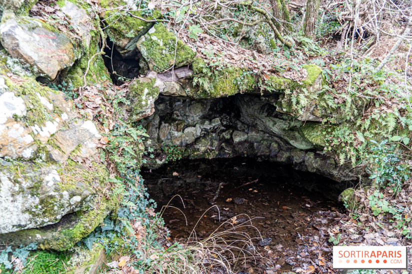 Randonnée à Fontainebleau : le sentier sur les pas de Denecourt jusqu’à la Tour Denecourt -  A7C7587