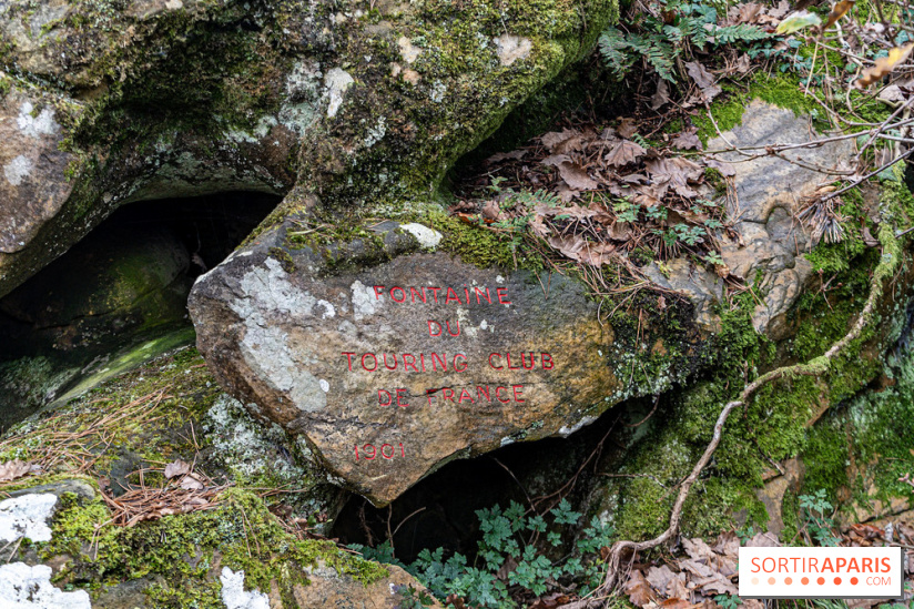 Randonnée à Fontainebleau : le sentier sur les pas de Denecourt jusqu’à la Tour Denecourt -  A7C7590