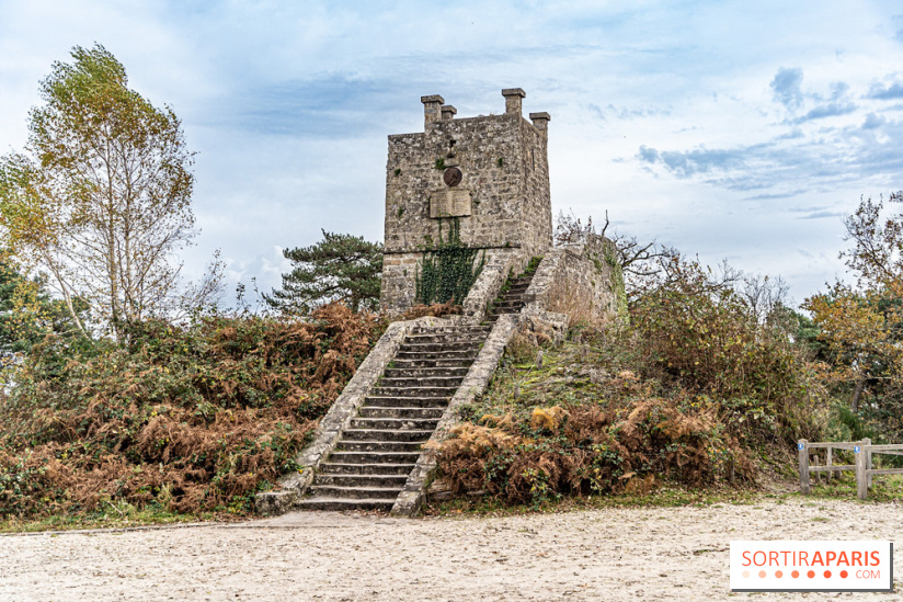 Randonnée à Fontainebleau : le sentier sur les pas de Denecourt jusqu’à la Tour Denecourt -  A7C7600