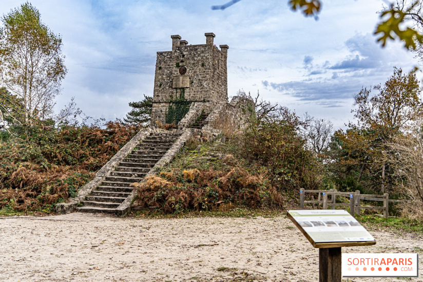 Randonnée à Fontainebleau : le sentier sur les pas de Denecourt jusqu’à la Tour Denecourt -  A7C7603