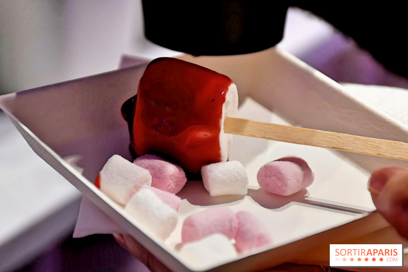 Le Pop-Up Store Yves Saint-Laurent Beauté à Pairs - IMG 5227