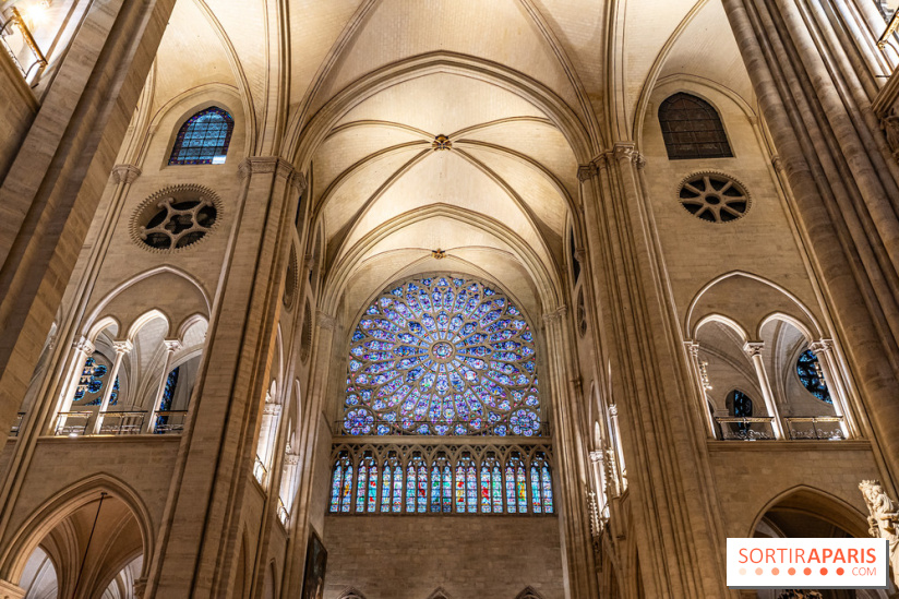 Visite de Notre-Dame de Paris -  A7C0224