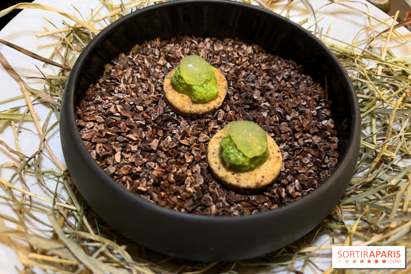 Campelli - Tartelette menthe estragon, piment