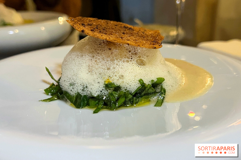 Campelli - Saint-Jacques à l'oseille