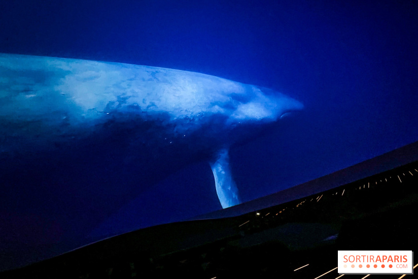 La Géode 2025 - IMG 8535 jpg