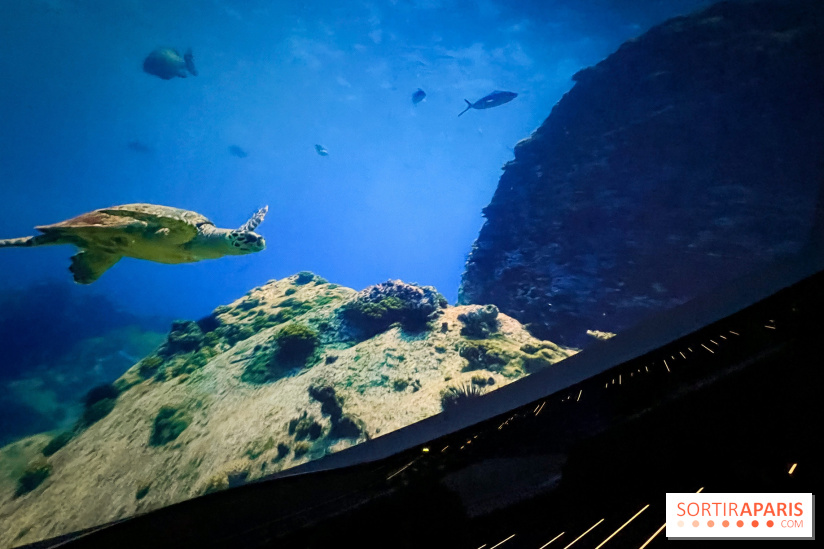 La Géode 2025 - IMG 8543 jpg