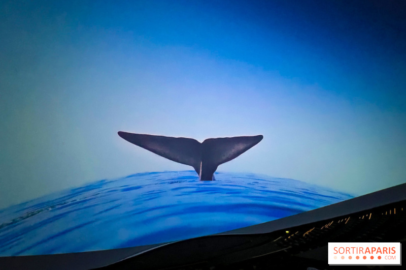 La Géode 2025 - IMG 8581 jpg