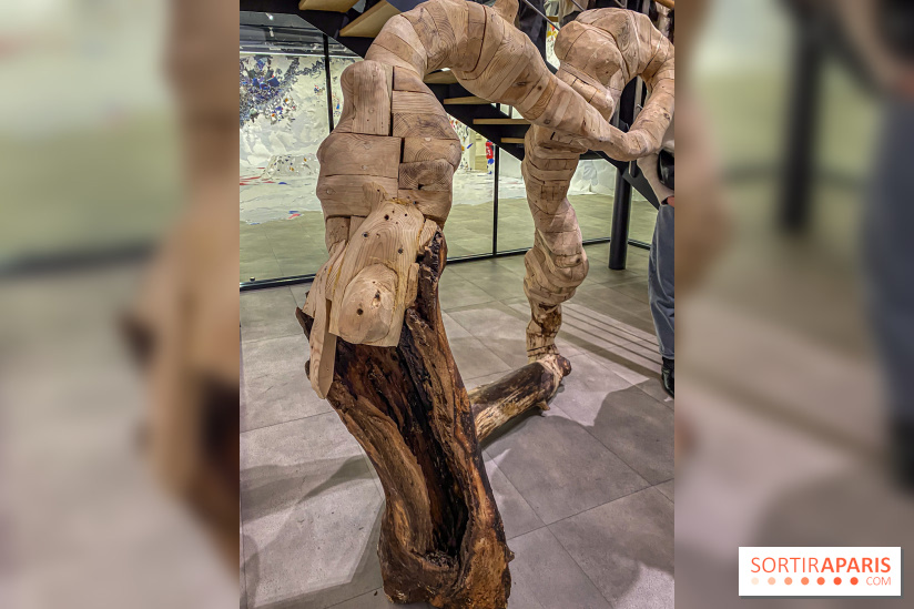 Exposition Belladone de Tatiana Wolska au Drawing Lab - IMG 2347