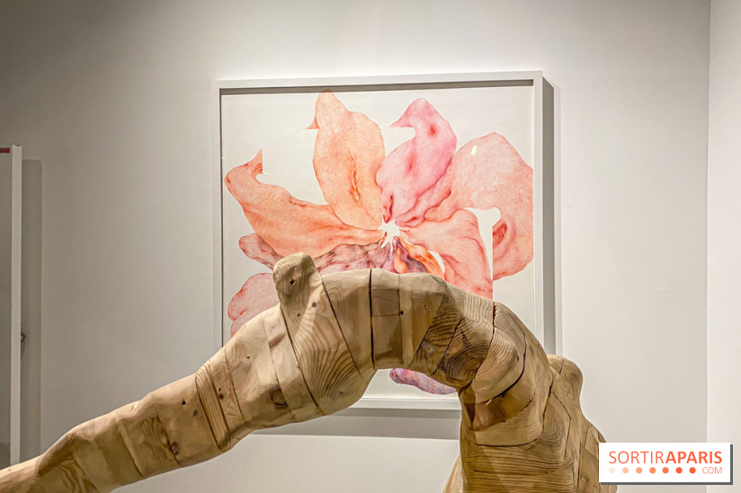 Exposition Belladone de Tatiana Wolska au Drawing Lab - IMG 2353