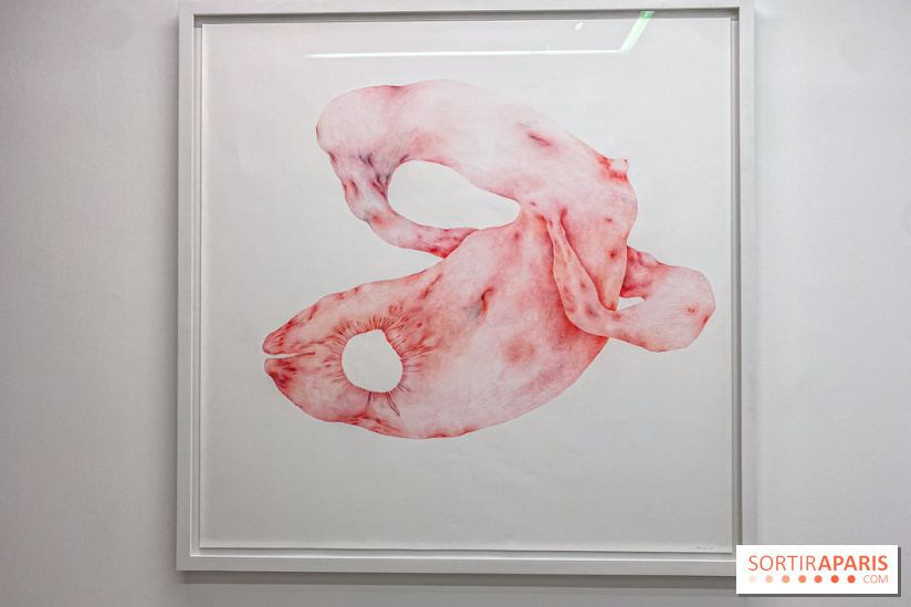 Exposition Belladone de Tatiana Wolska au Drawing Lab - IMG 2355