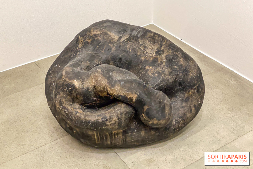 Exposition Belladone de Tatiana Wolska au Drawing Lab - IMG 2356