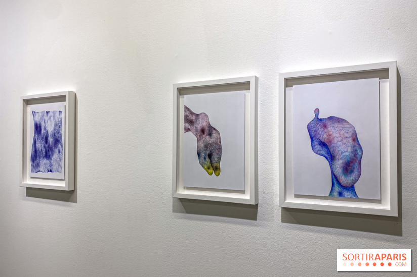 Exposition Belladone de Tatiana Wolska au Drawing Lab - IMG 2360