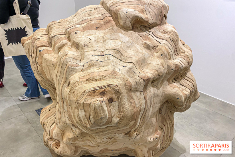 Exposition Belladone de Tatiana Wolska au Drawing Lab - IMG 2364