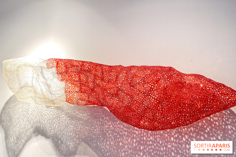 Exposition Belladone de Tatiana Wolska au Drawing Lab - IMG 2386