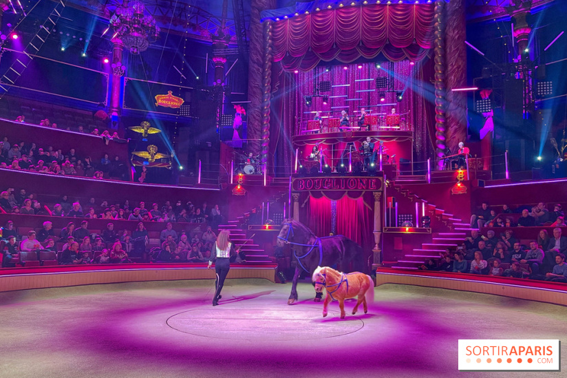 Spectaculaire - Cirque d'hiver - IMG 8495