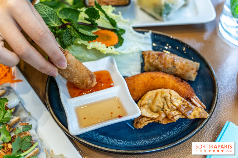 Chez An - Au coin du Vietnam, restaurant vietnamien du 14e à Paris -  nems - assortiment frit