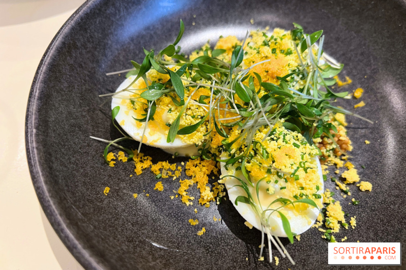 Argile - Oeufs mimosa, poutargue