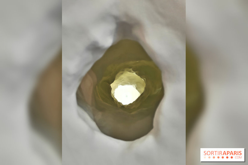 Chaosmos : une expo gratuite qui interroge notre place dans l'univers au Maif Social Club - photos - fotor 1738750083255