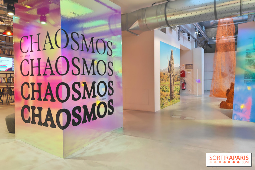 Chaosmos : une expo gratuite qui interroge notre place dans l'univers au Maif Social Club - photos - fotor 1738750058916