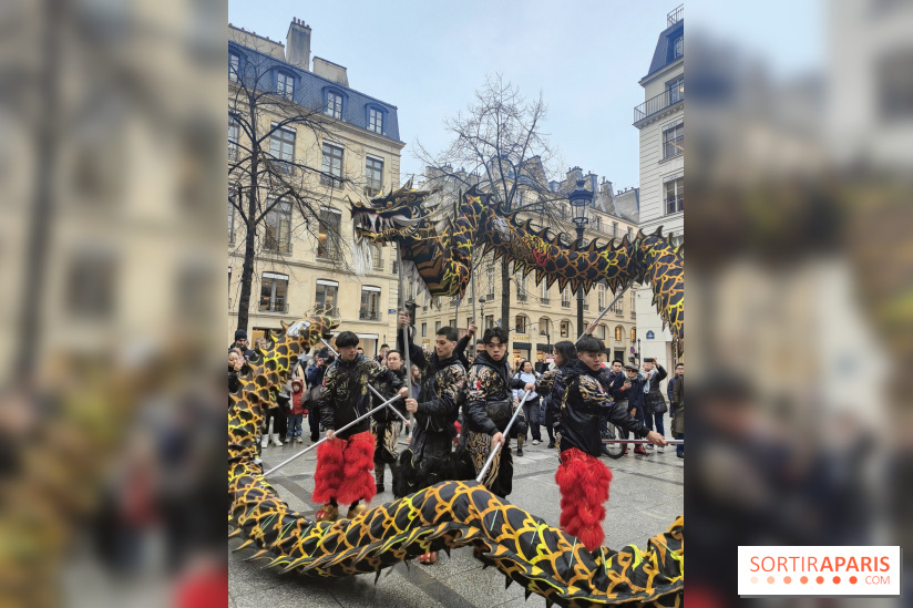 Défilé du Nouvel An Lunaire-Chinois Faubourg Saint-Honoré  - IMG20250205131127