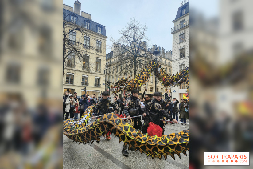 Défilé du Nouvel An Lunaire-Chinois Faubourg Saint-Honoré  - IMG20250205131128